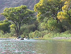 Gila Box Riparian National Conservation Area.